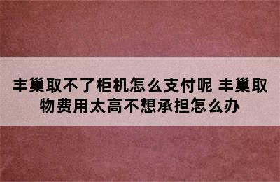 丰巢取不了柜机怎么支付呢 丰巢取物费用太高不想承担怎么办